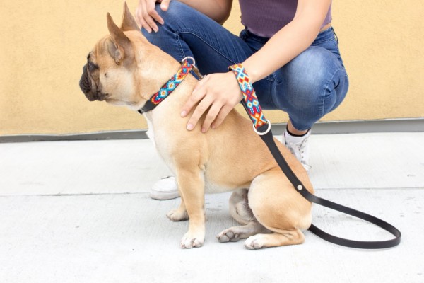 Weave Handle Aurora Leash