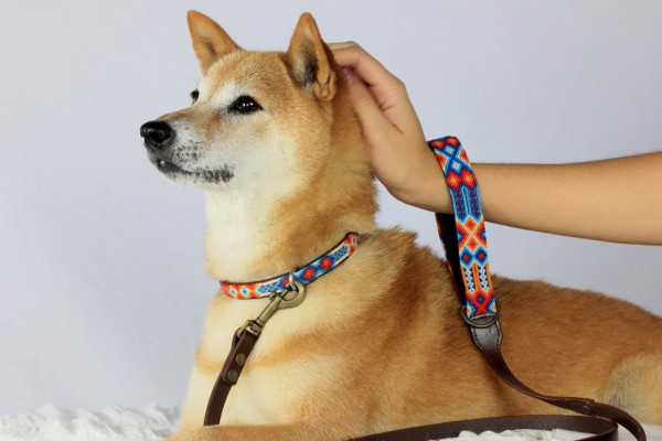 Weave Handle Aurora Leash