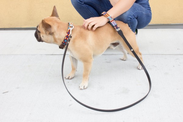 Weave Handle Navajo Leash