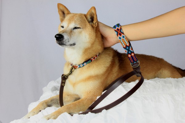 Weave Handle Navajo Leash