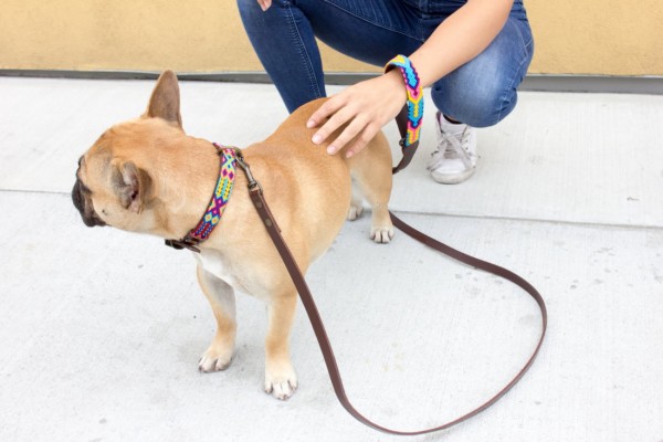 Weave Handle Briza Leash