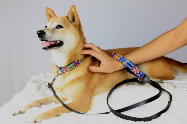 Weave Handle Briza Leash