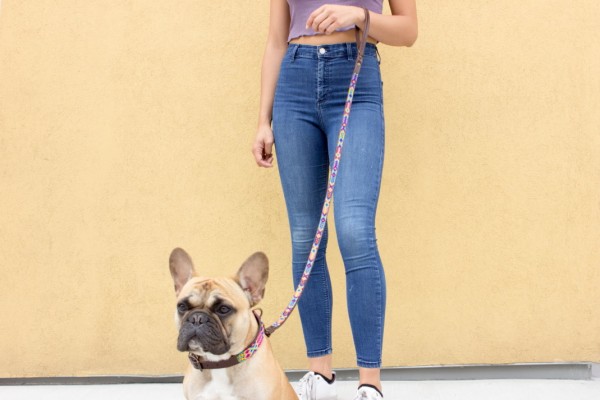 Full-Length Briza Leash