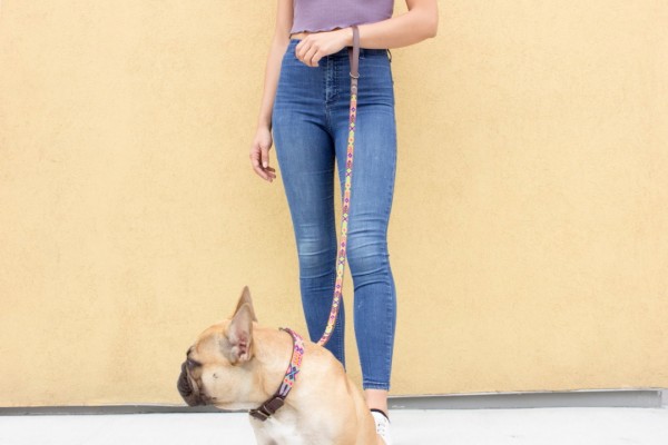 Full-Length Loxa Leash