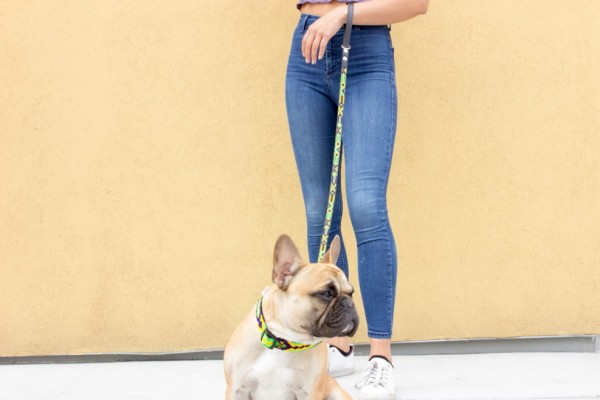 Full-Length Cactus Leash