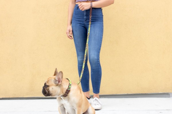 Full-Length Cactus Leash