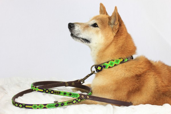 Full-Length Cactus Leash