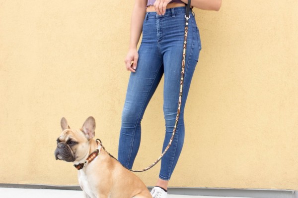 Full-Lengh Otomi Leash