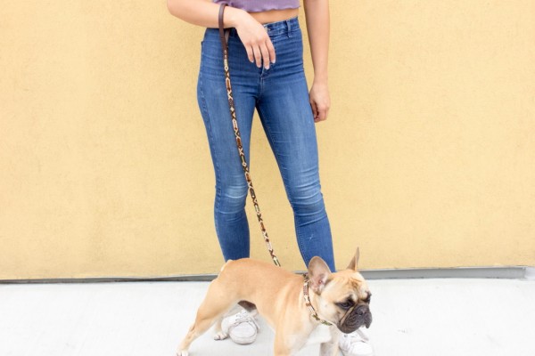 Full-Lengh Otomi Leash