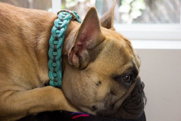 Metzi Collar